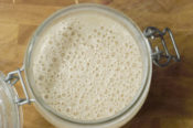 sourdough starter